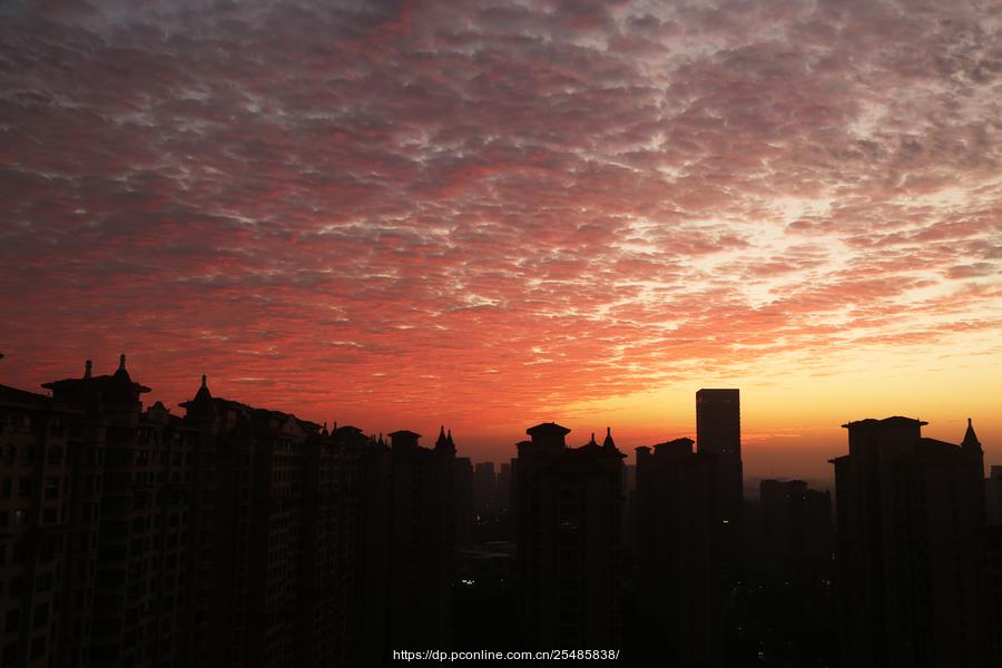 晨曦霞染楼宇情