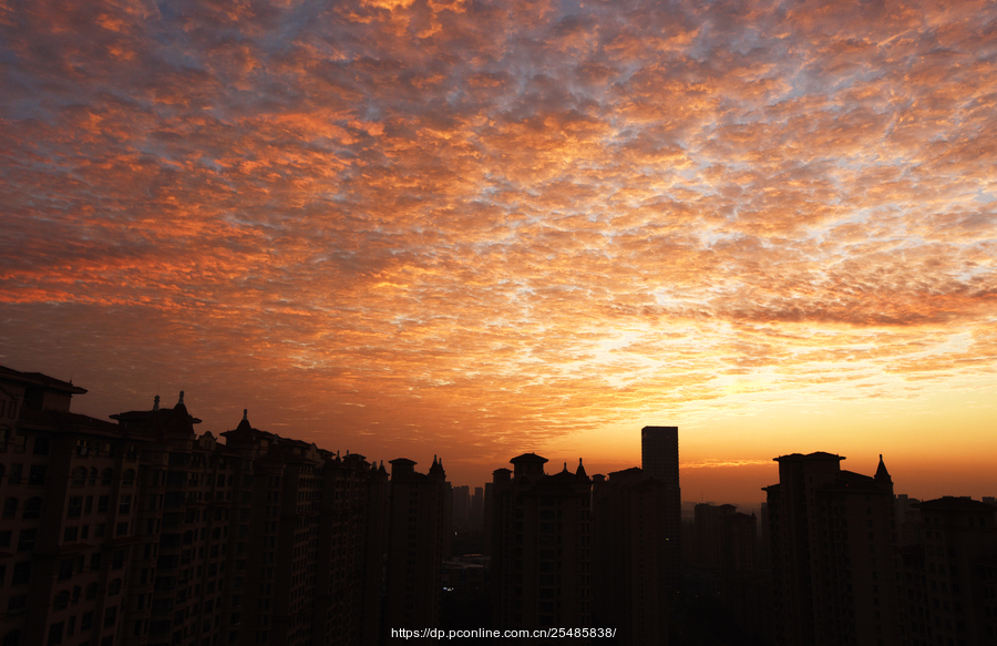 晨曦霞染楼宇情