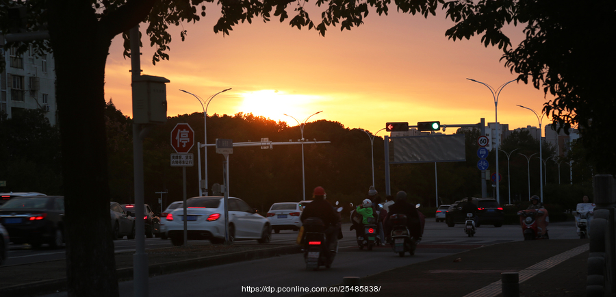 斜阳漫洒归乡路
