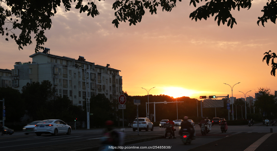 斜阳漫洒归乡路