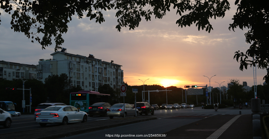 斜阳漫洒归乡路