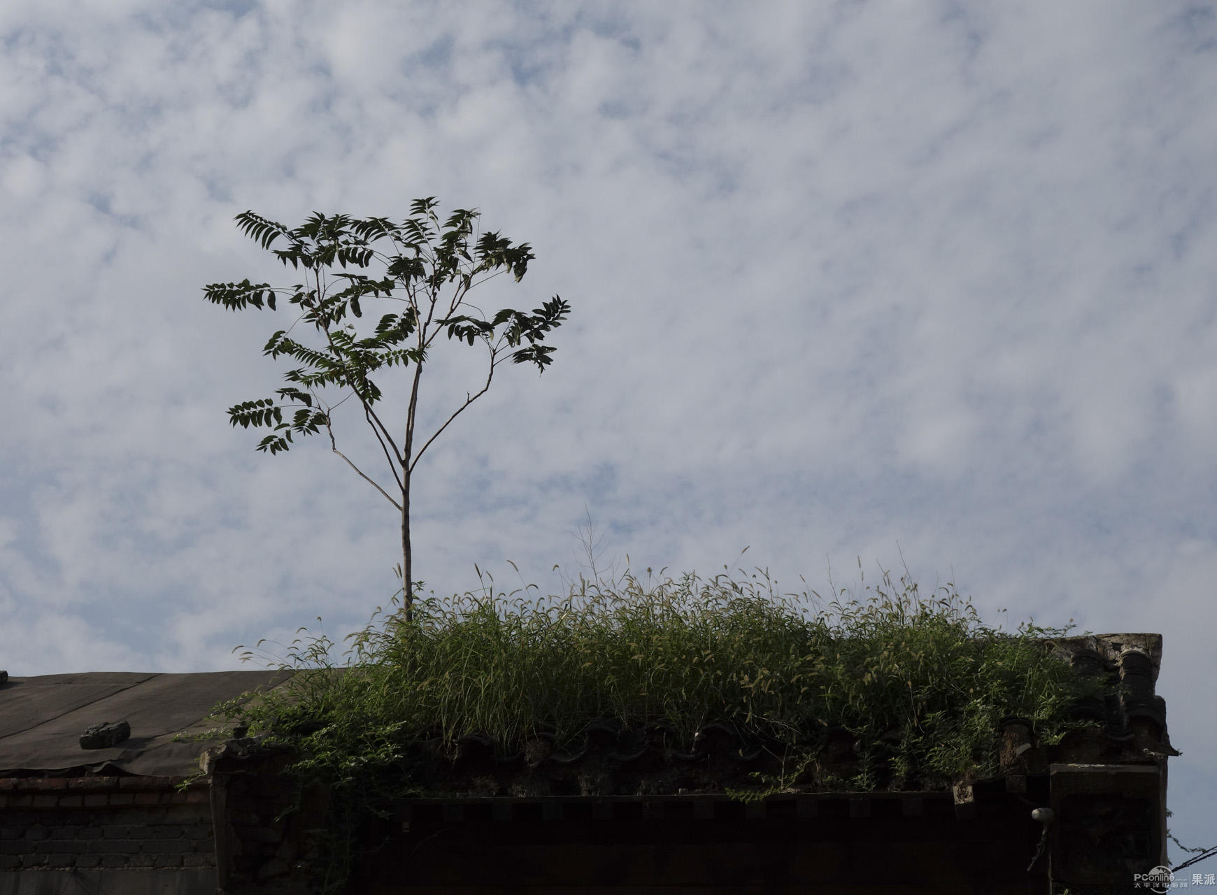 新人低调带来sony dsc-rx100开箱(12楼已更新大