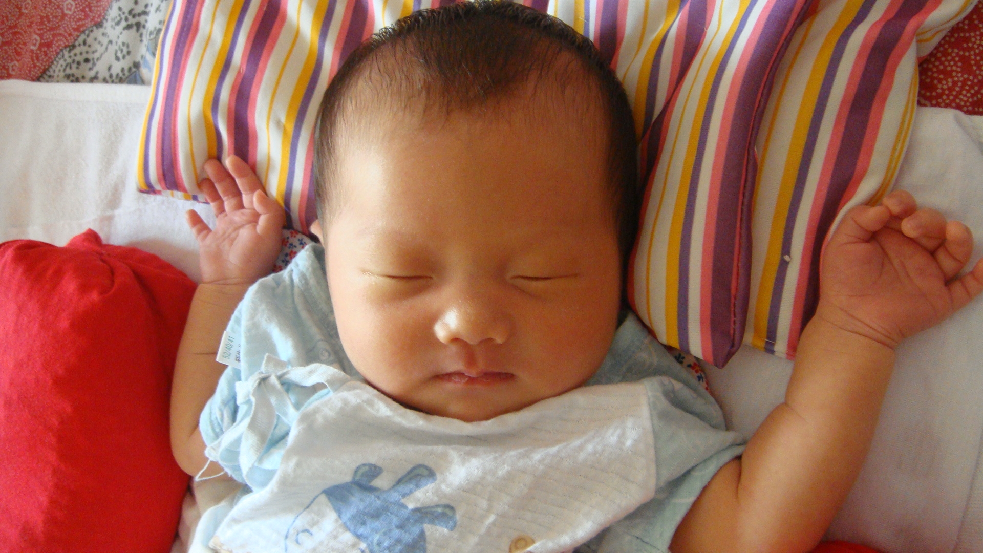 最适合宝宝的睡姿揭秘，不是趴睡不是侧睡，这种睡姿更舒服安全_姿势