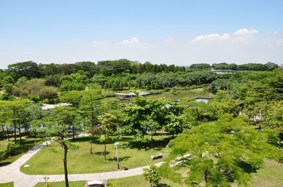 中山紫马岭公园,广东省内一日游好去处