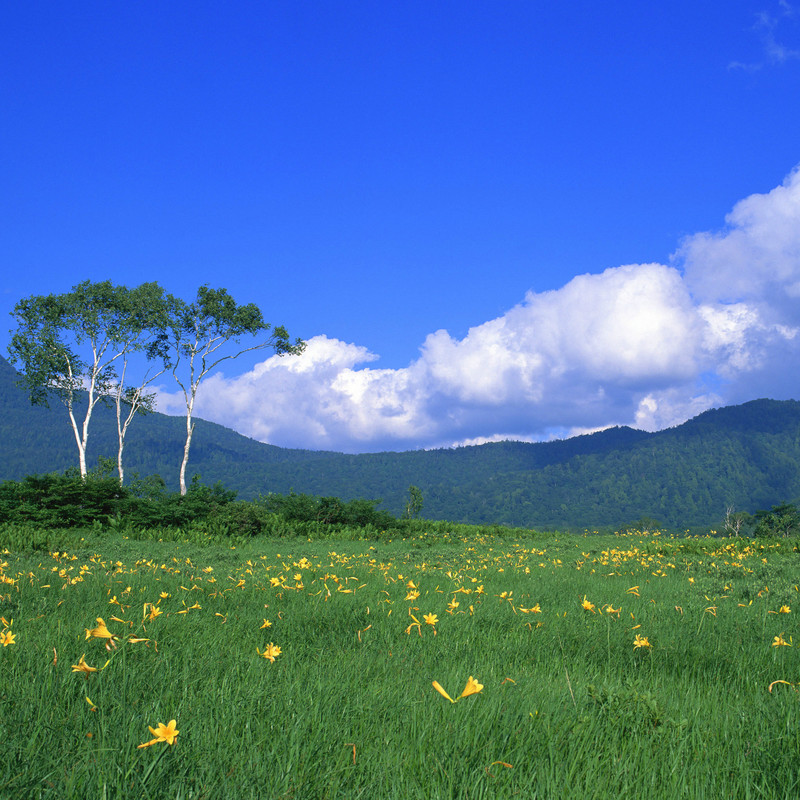 【天苍苍野茫茫新iPad壁纸】高清平板壁纸壁