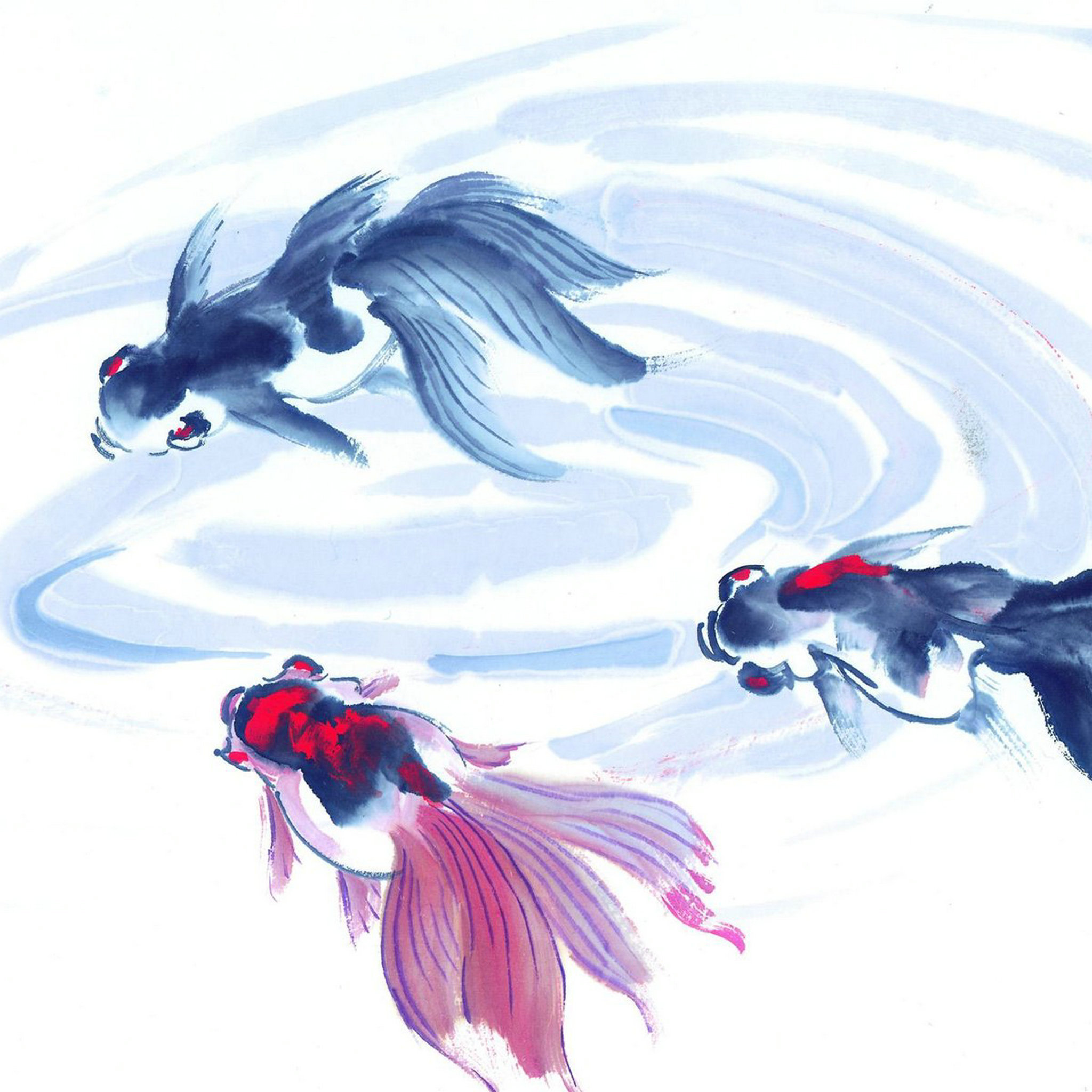 水下动物画 山水名画 水里游着 水墨画 三条鱼图片 高清图片