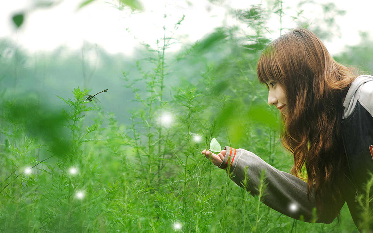 邻家女孩清纯美女壁纸_桌面壁纸论坛_太平洋电脑论坛