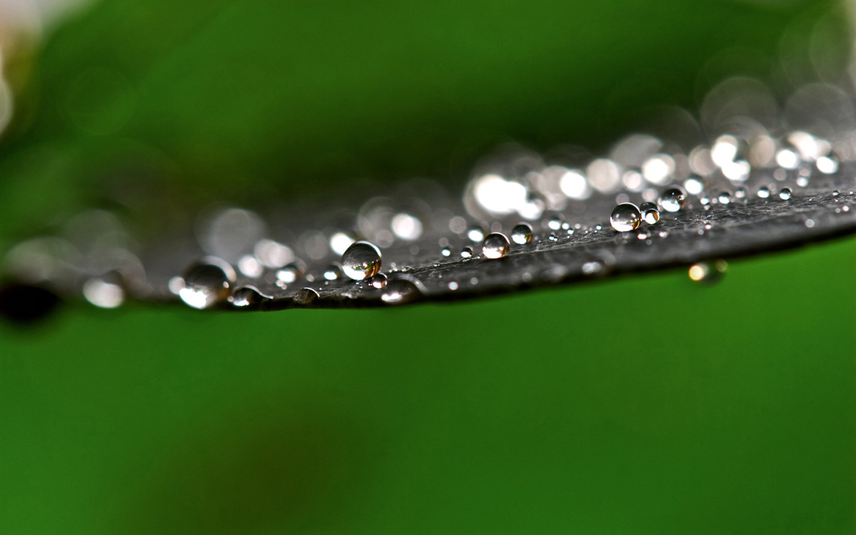 夏天雨的倾诉唯美 高清壁纸