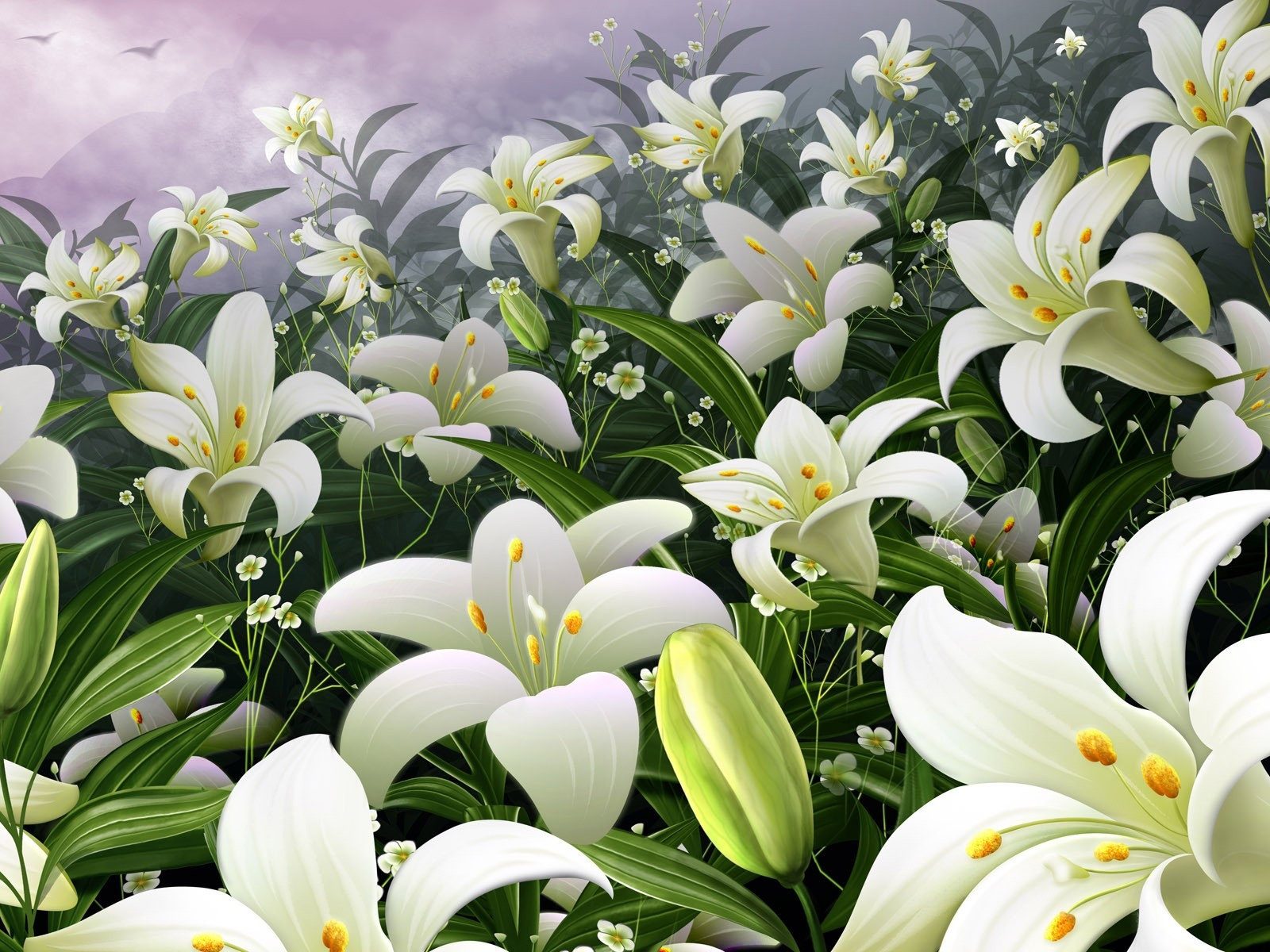 清新百合花桌面壁纸
