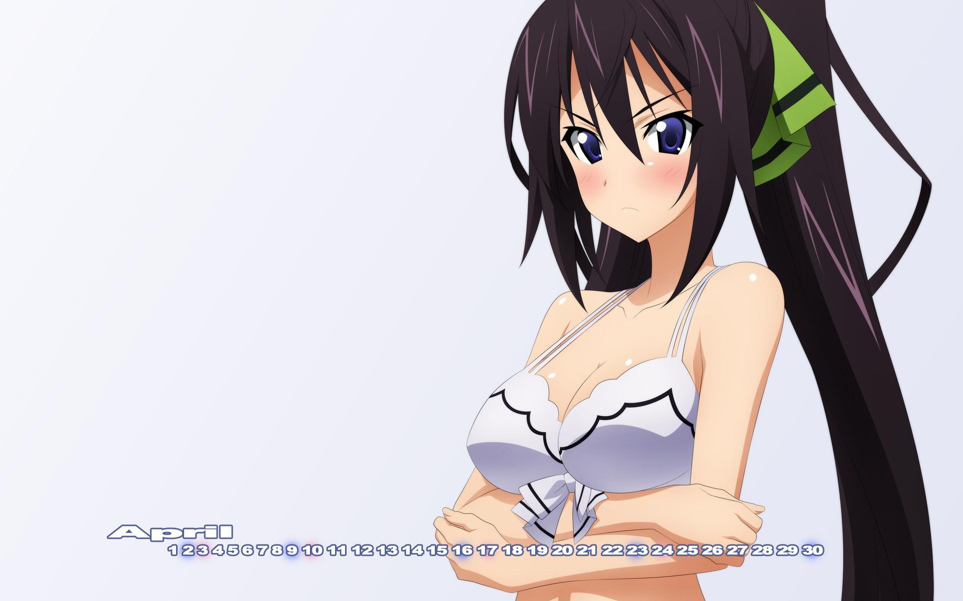 无限斯特拉托斯(infinite stratos)动漫图片壁纸