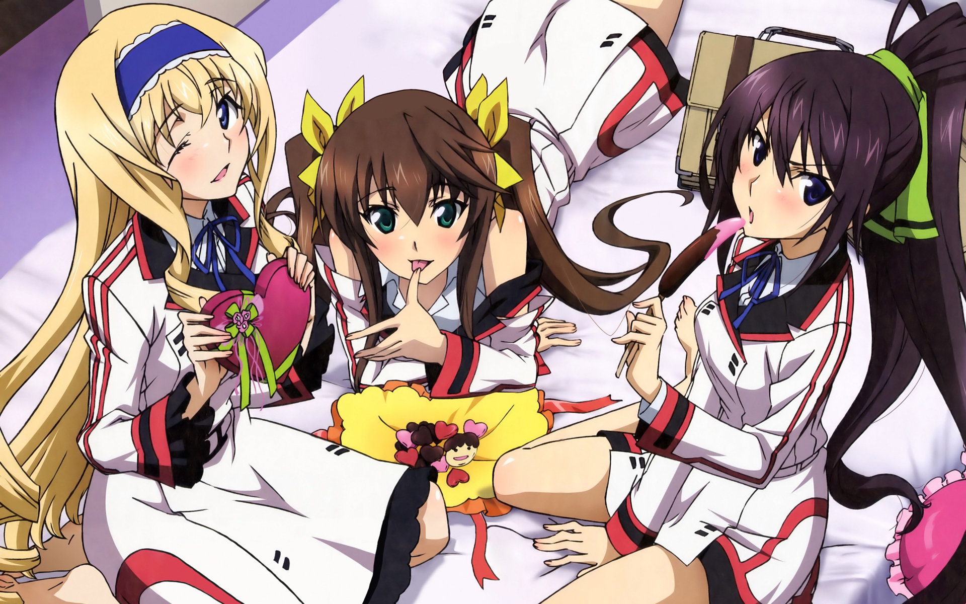 无限斯特拉托斯(infinite stratos)动漫图片壁纸