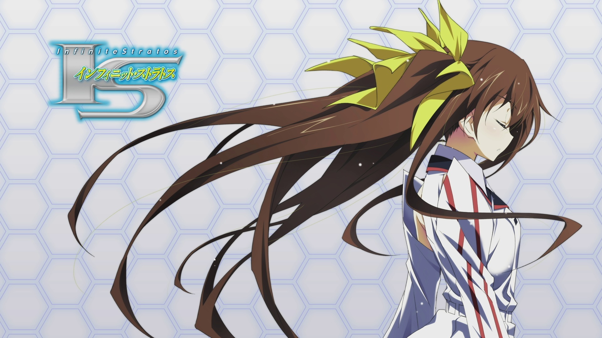 无限斯特拉托斯(infinite stratos)动漫图片桌面壁纸