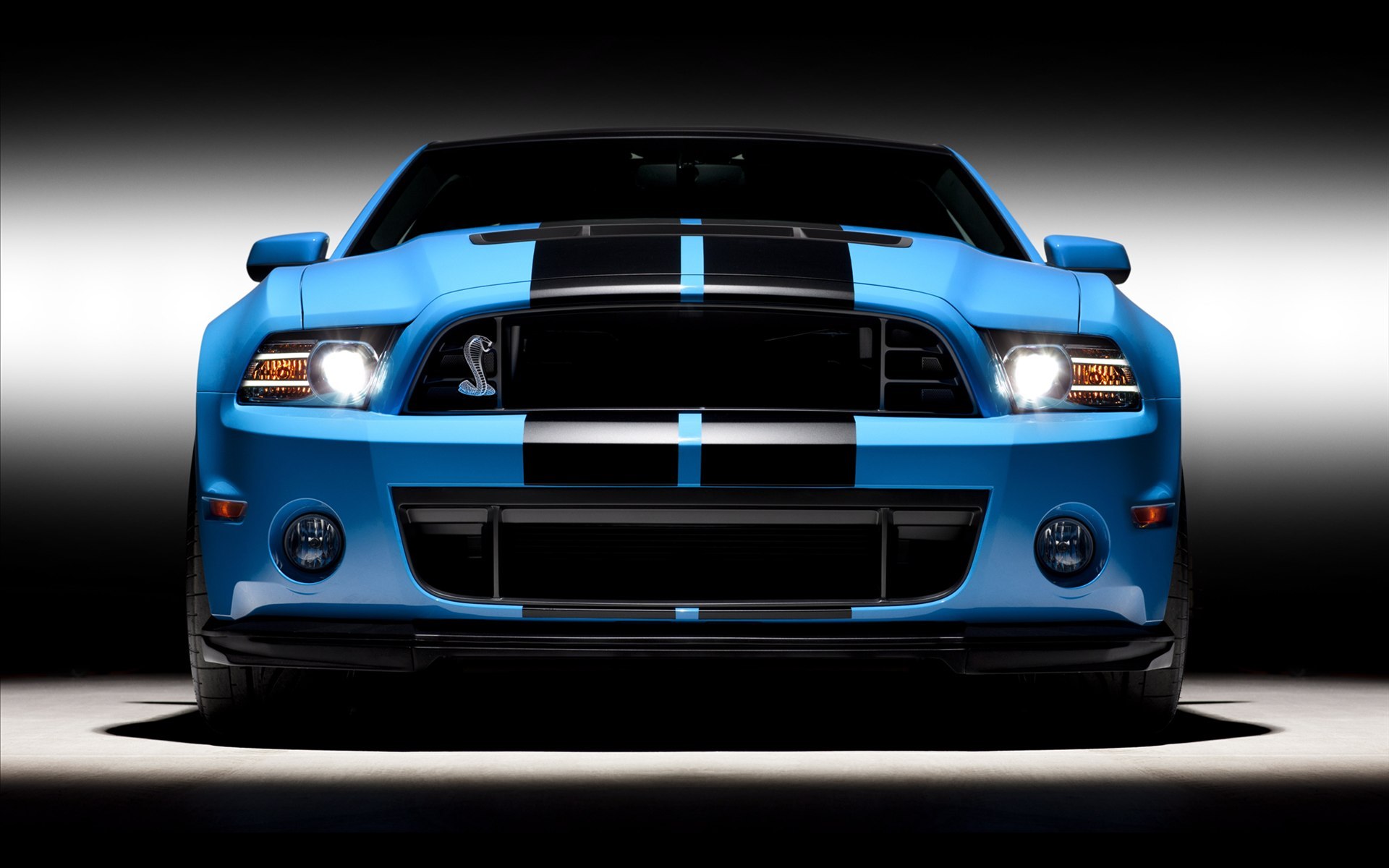 福特眼镜蛇 ford shelby gt500第二辑壁纸