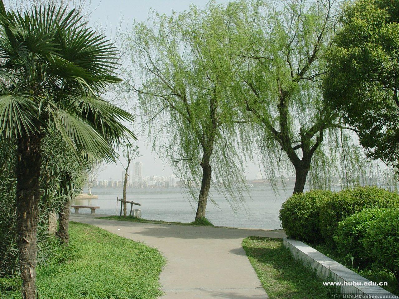 湖北大學——美麗校園_湖北大學論壇_太平洋電腦論壇