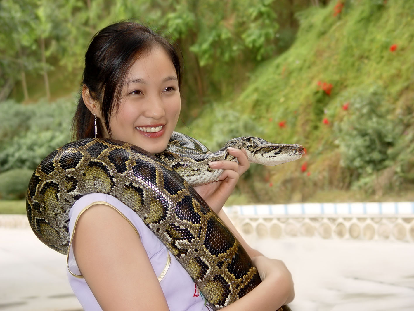 80后女子在家养7000条蛇 上演“美女与蛇”的故事-搜狐大视野-搜狐新闻