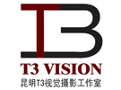 T3VISION