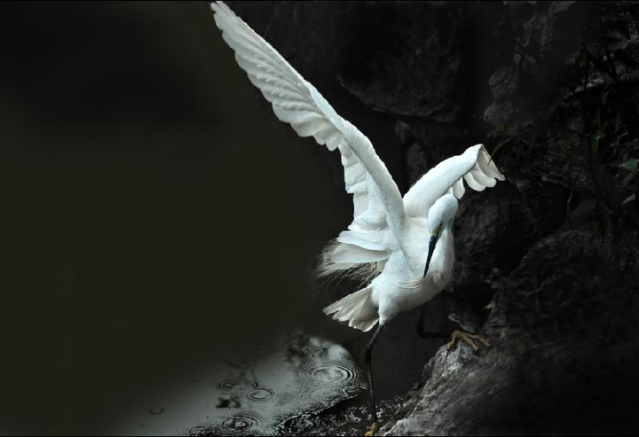ȤС