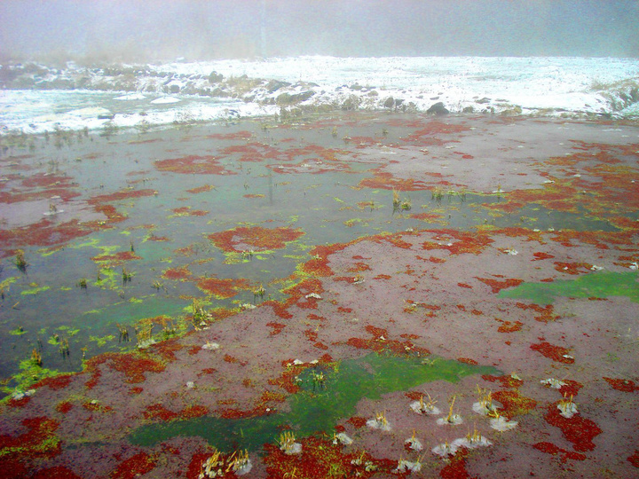 2009ڶѩ