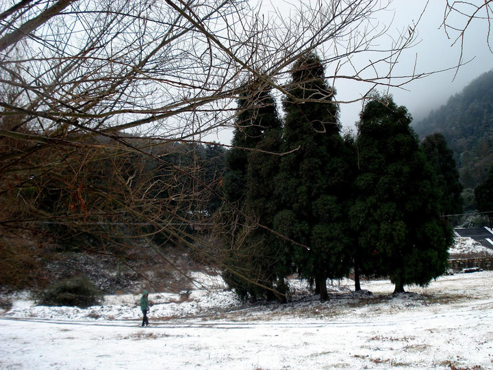 2009ڶѩ