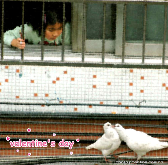 Valentines Day