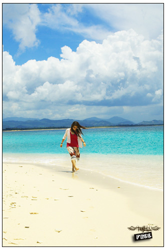 Free Summer