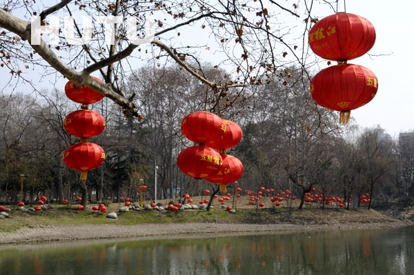 张灯结彩过新年