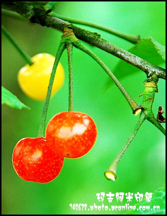ӣ