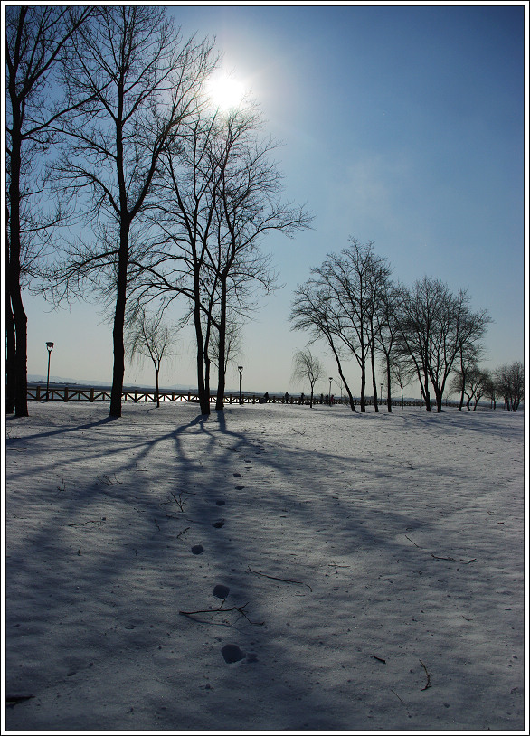 雪后初晴的早晨图片图片