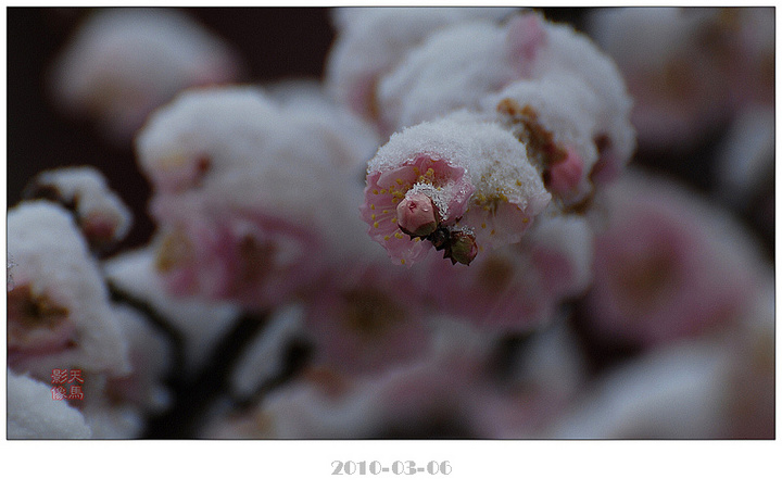 ϲ--÷ɽѩ(2)