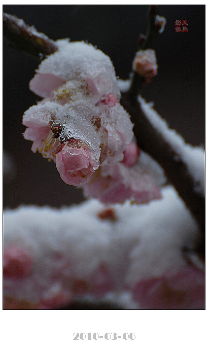 ϲ--÷ɽѩ(2)