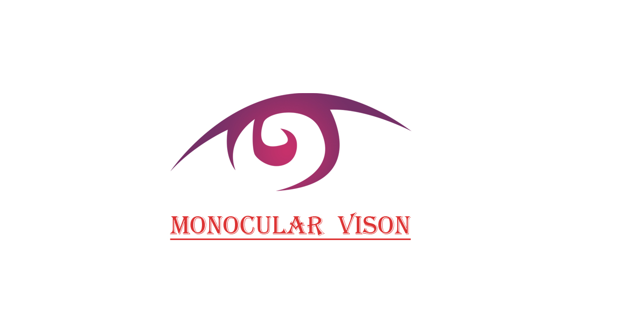 monocular vison