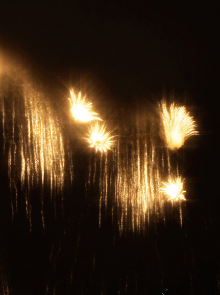 2009 һ̻
