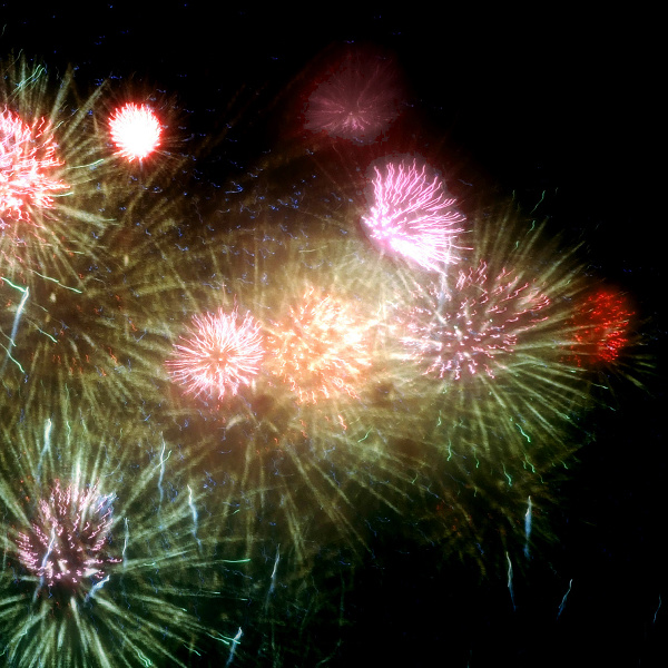 2009 һ̻