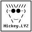 Mickey.LYZ