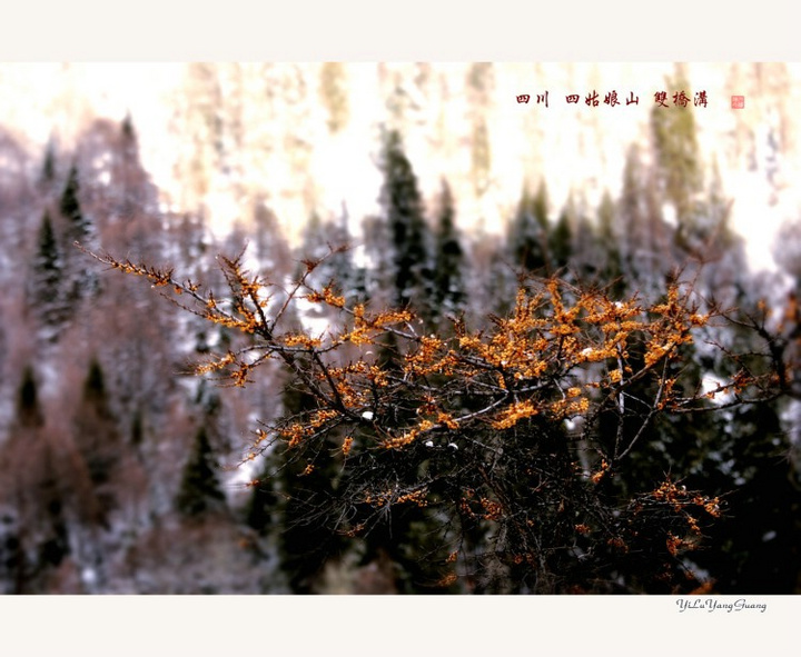 Ĺɽ-ɫ