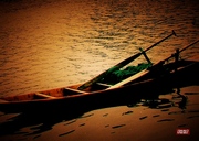 LOMO