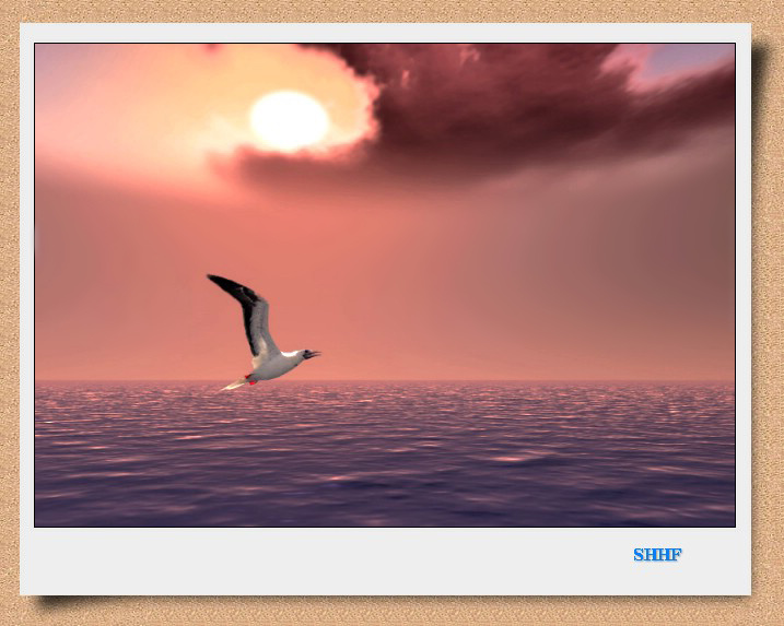 ֮