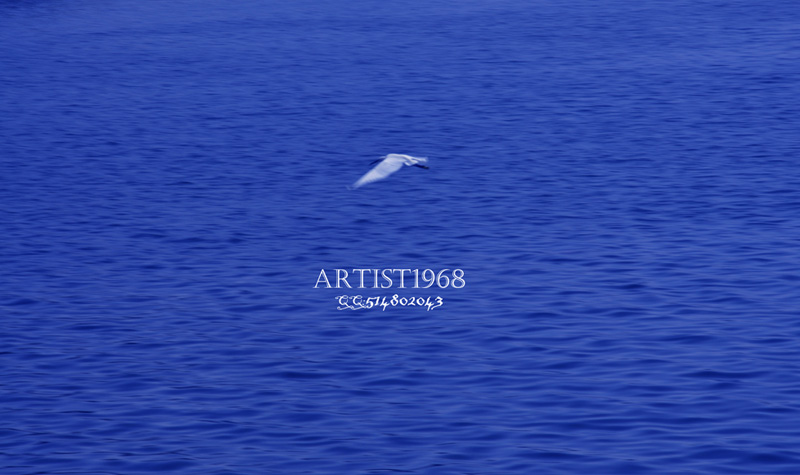 Art1968 ɽƮѩ