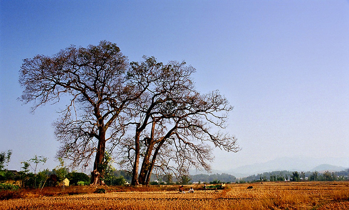 ֮Բ