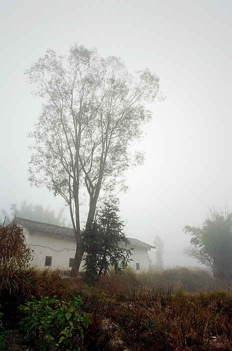 ֮Բ