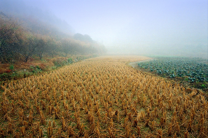 ֮Բ