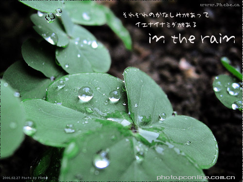 In the rain