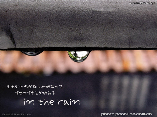In the rain