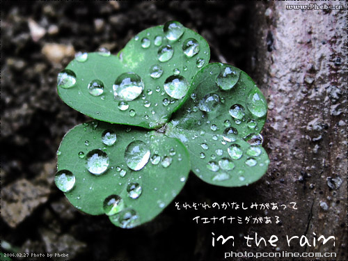 In the rain
