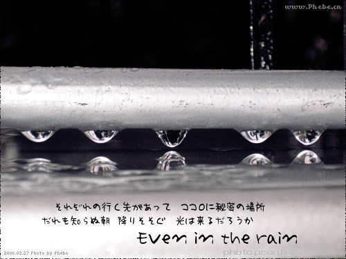 In the rain