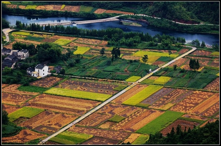 Զȥ