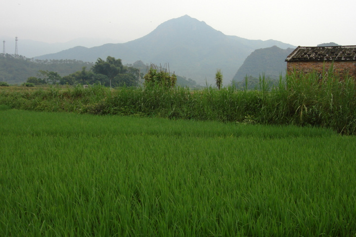 凤来村游记