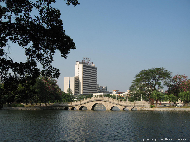 阳春市悦华老板杜悦生图片