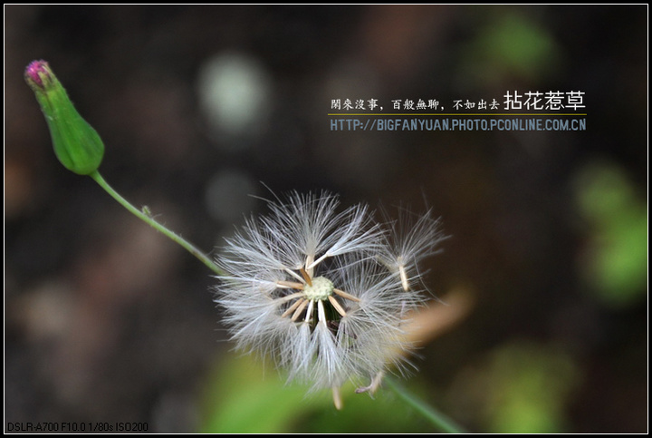黨ǲ