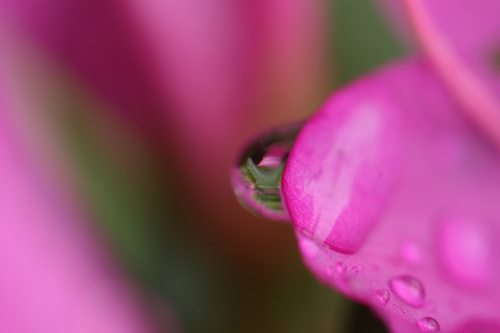 EOS 30D 